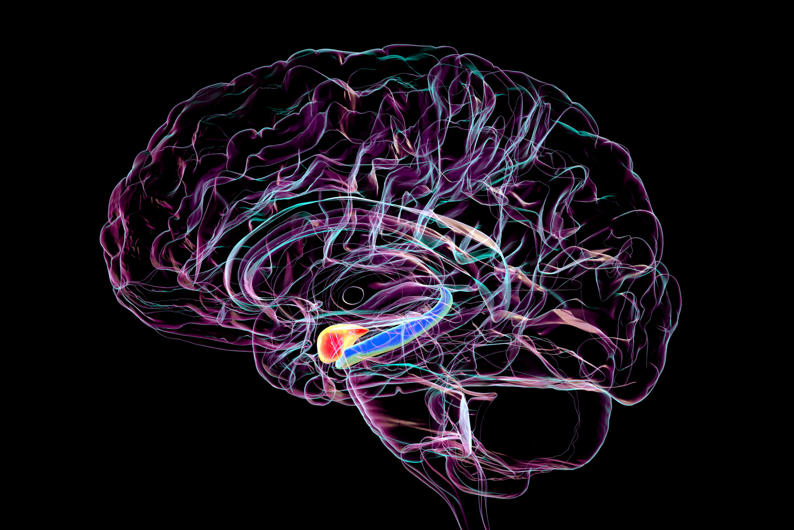Glowing lines outlining a brain on a dark background